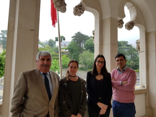 JSD Sintra na 15ª Reunião da Câmara Municipal de Sintra