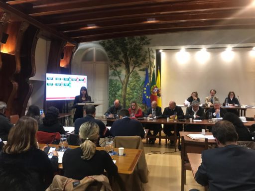 Intervenção sobre o Grupo 93 dos Escoteiros de Sintra Assembleia Municipal